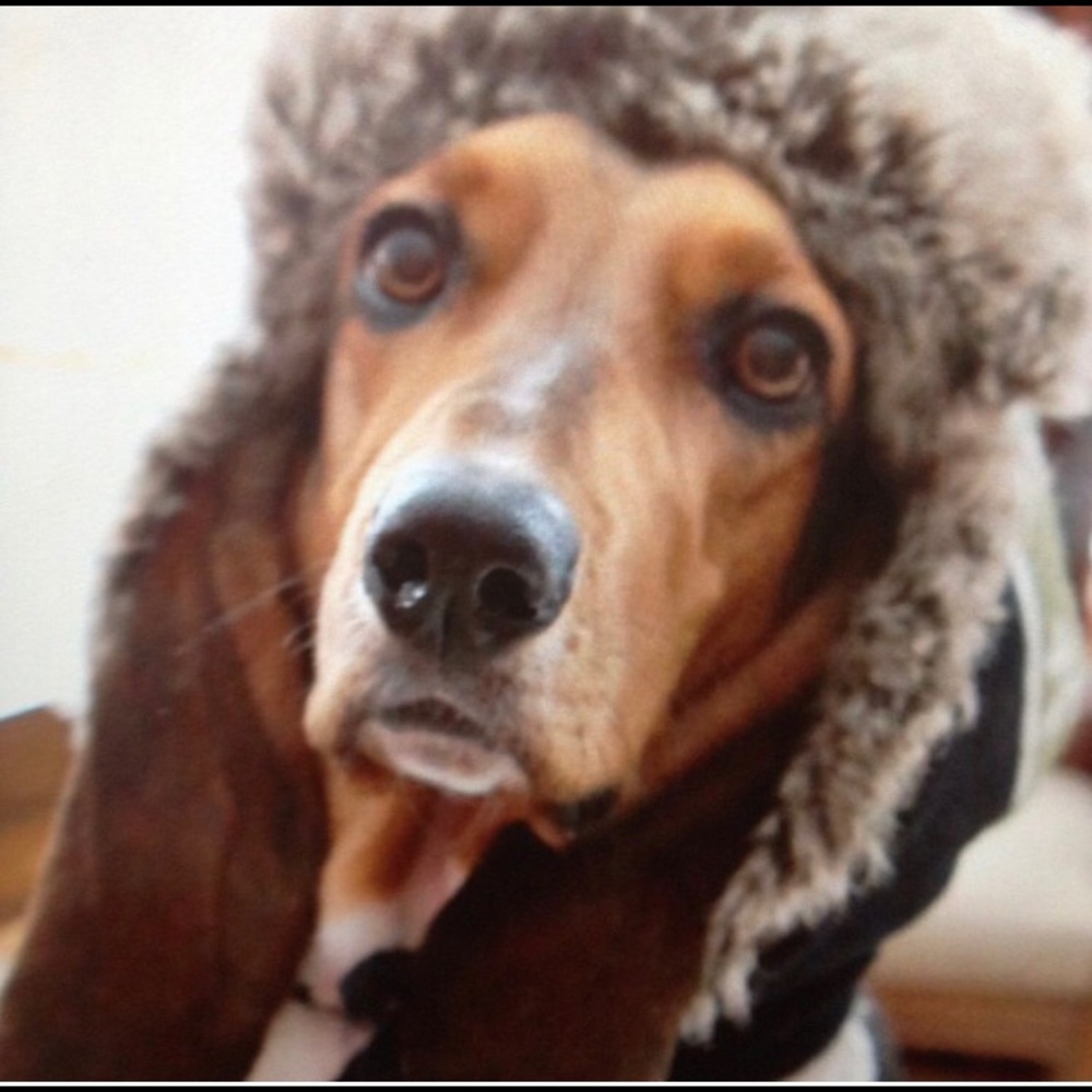 Meet your Posher, Justina